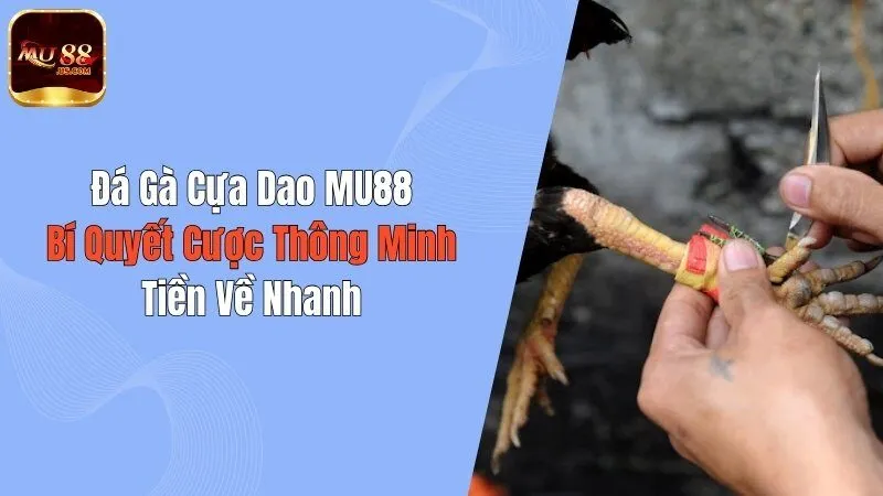 Đá Gà Cựa Dao MU88: Bí Quyết Cược Thông Minh, Tiền Về Nhanh